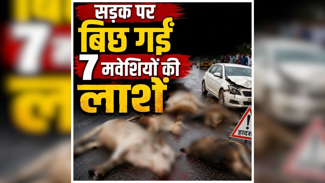 Baloda Bazar Road Accident: सड़क पर ही मची अफरातफरी, देखते ही देखते हुआ बड़ा हादसा, 7 मौतों से मचा हड़कंप