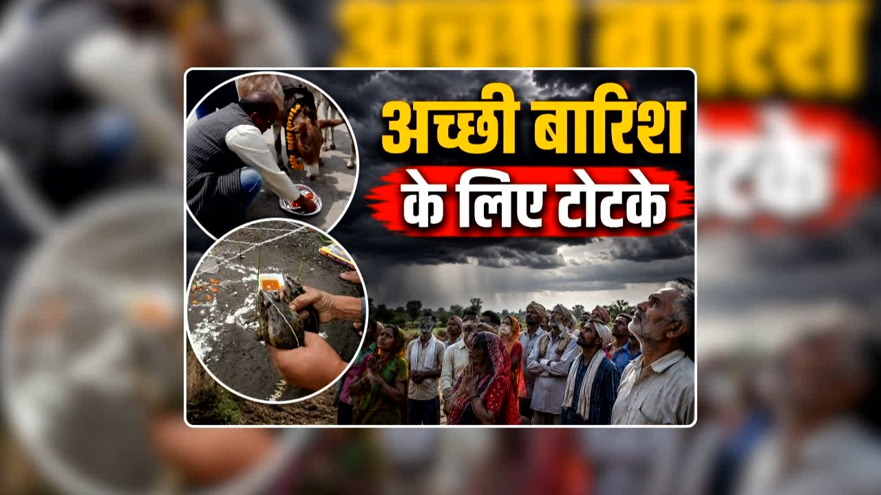 Barish Ke Liye Totka: गधों को गुलाब जामुन खिलाने से प्रसन्न होते हैं इंद्र देव? अच्छी बारिश के लिए कहीं मेढक-मेढकी की शादी तो कहीं गधों को खिलाया जा रहा गुलाब जामुन