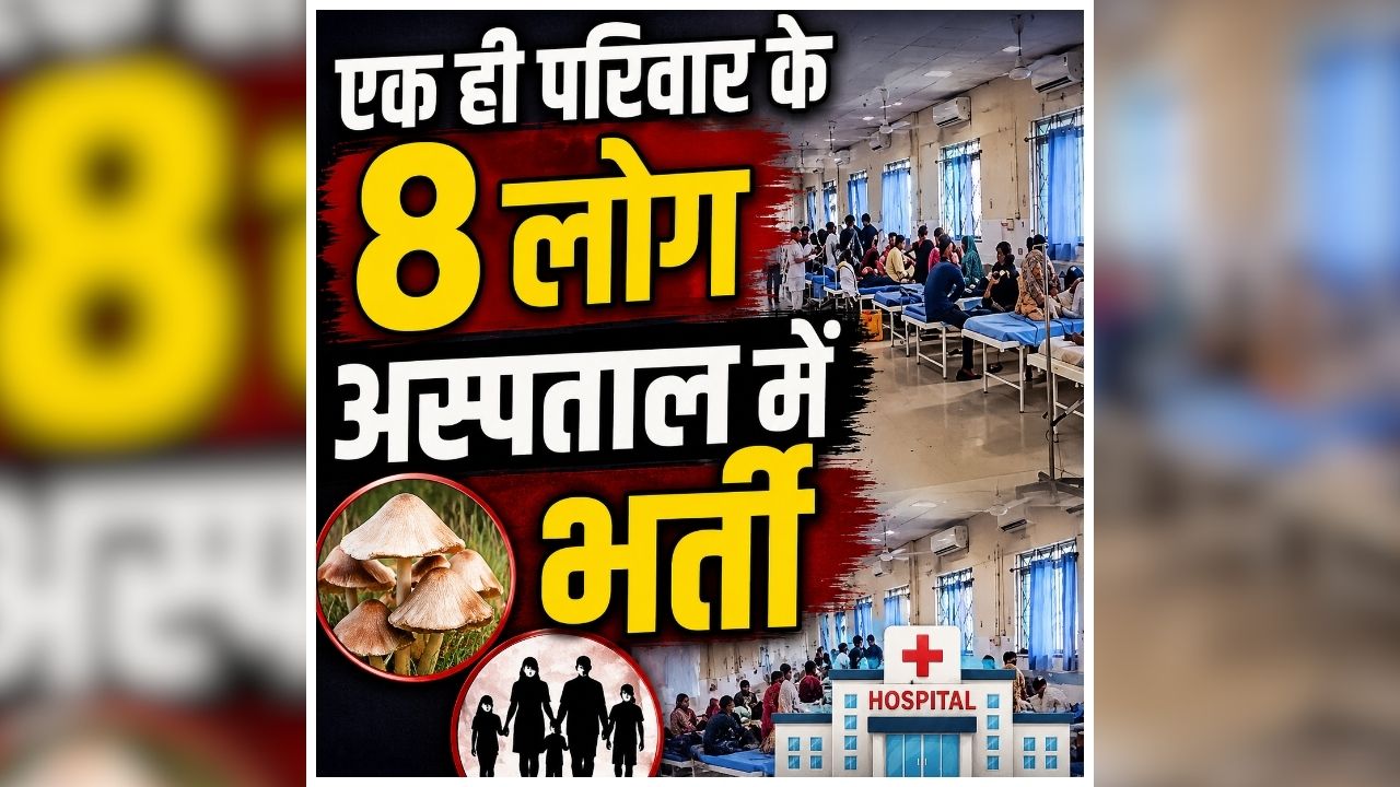 CG Poisonous Mushroom: खाना खाते ही एक-एक कर बिगड़ने लगी सबकी हालत, आनन-फानन में अस्पताल में भर्ती, पूरे गांव में मचा हड़कंप