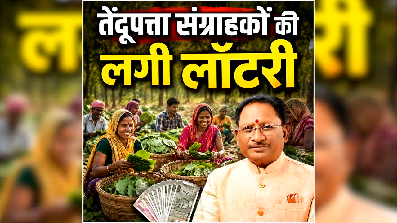 CG Tendu Patta Kharidi Dar Badha: तेंदूपत्ता संग्राहकों की हुई बल्ले-बल्ले, सरकार ने मजदूरी 4,000 से बढ़ाकर 5,500 की, जानिए अब खाते में कितना पैसा आएगा