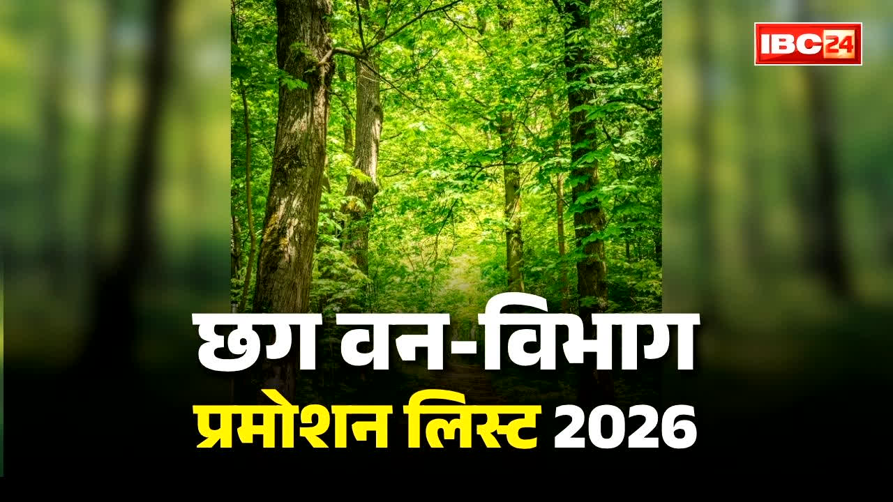 CG Forest Department Promotion List 2026: छत्तीसगढ़ में बड़े पैमाने पर प्रमोशन.. वन विभाग के इन कर्मचारियों को मिली बड़ी सौगात, देखें पूरी लिस्ट