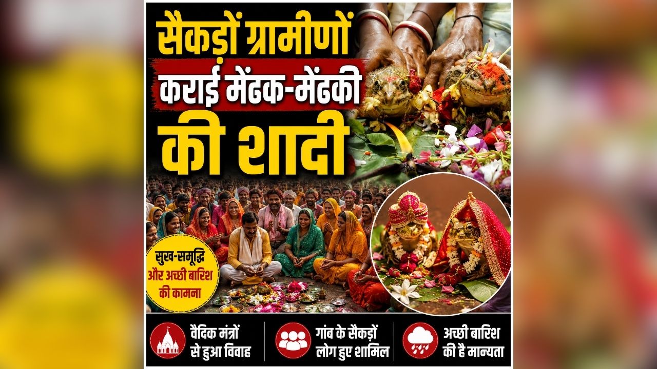 Frog Marriage for Rain: छत्तीसगढ़ के इस जिले में नहीं हो रही बारिश! तो ग्रामीणों ने इंद्रेव को खुश करने के लिए किया ऐसा काम, देखने उमड़ी गांववालों की भीड़