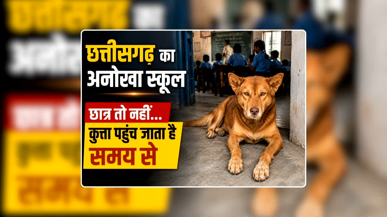 Chhattisgarh ka Anokha School Kaha Hai: छात्र तो नहीं…कुत्ता रोज समय से पहुंच जाता है स्कूल, छत्तीसगढ़ का अनोखा सरकारी स्कूल जहां टीचर तो हैं, लेकिन स्टूडेंट एक भी नहीं