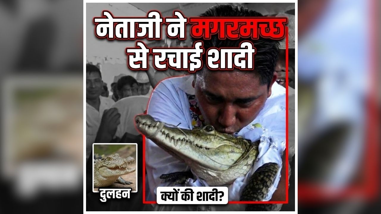 Mayor Marries Crocodile: दूल्हा बना शहर का मेयर, मगरमच्छ से रचाई शादी, जानें आखिर क्यों करना पड़ा ये अजीबोगरीब काम