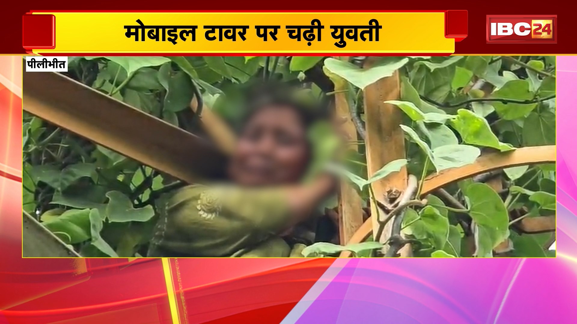 Pilibhit News : मोबाइल टावर पर चढ़ी युवती | पुलिस की कार्रवाई से नाराज | UP News