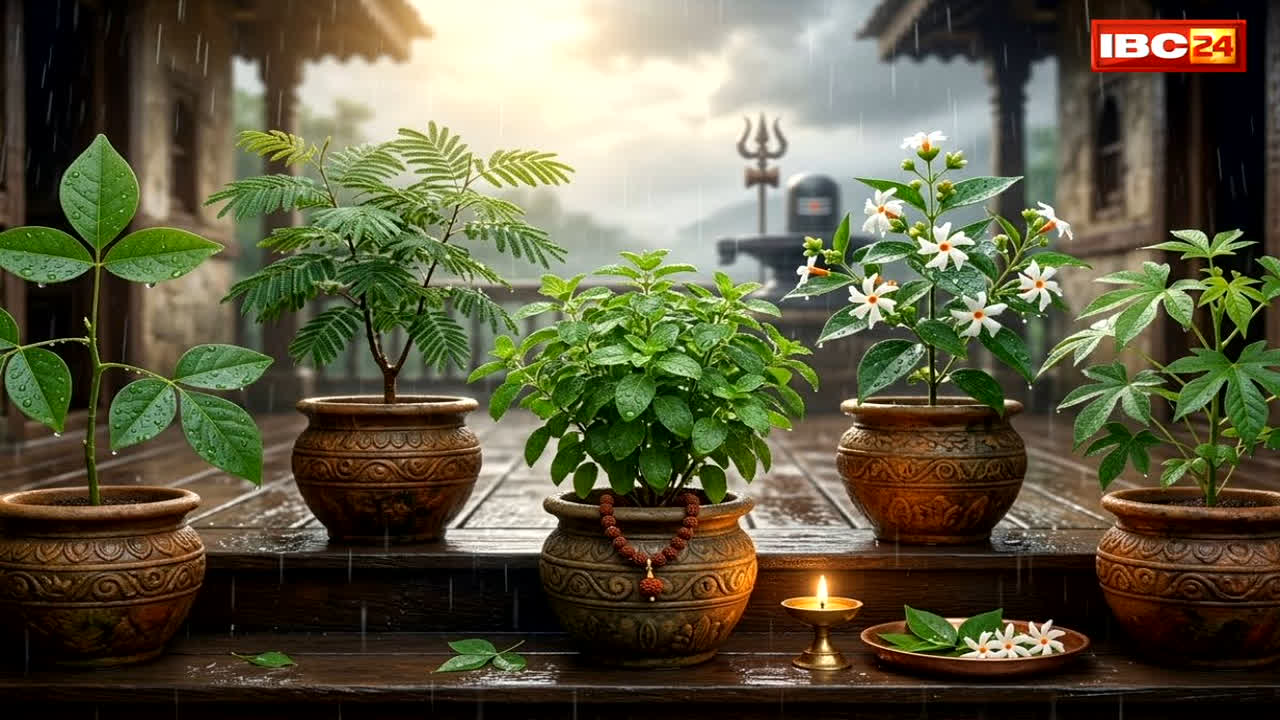 Sawan 2026 Vastu Tips: सावन शुरू होते ही, घर की चौखट पर सजाएं ये 5 जादुई और धन-आकर्षक पौधे! इन्हें सही जगह रखने मात्र से खुश होंगे भोलेनाथ!
