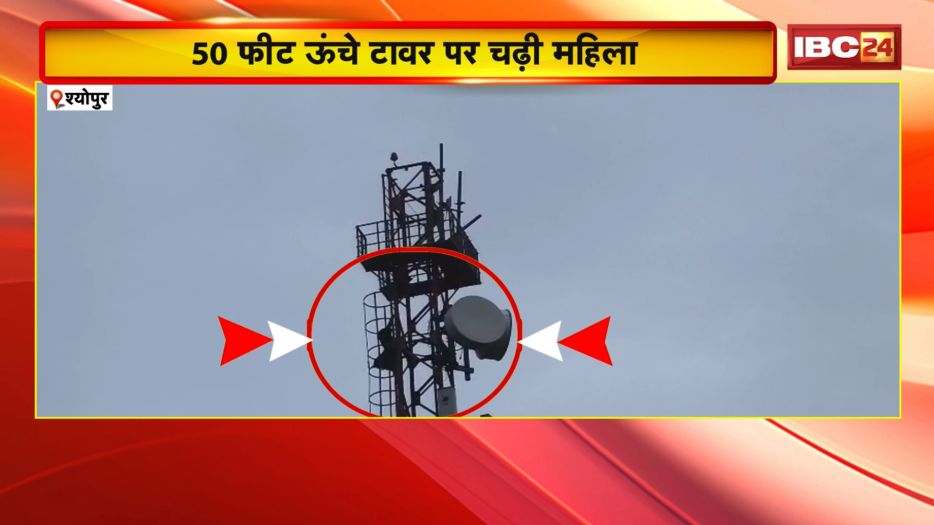 Sheopur News: अतिक्रमण हटाने के दौरान हंगामा, कार्रवाई के विरोध में 50 फीट ऊंचे टावर पर चढ़ी महिला