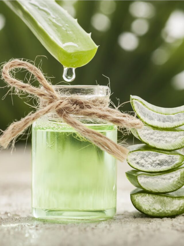 Aloe Vera Juice Benefits: एलोवेरा जूस में छिपा है विटामिन्स का खजाना, सेहत को मिलते हैं जबरदस्त फायदे, आप भी जानें यहां