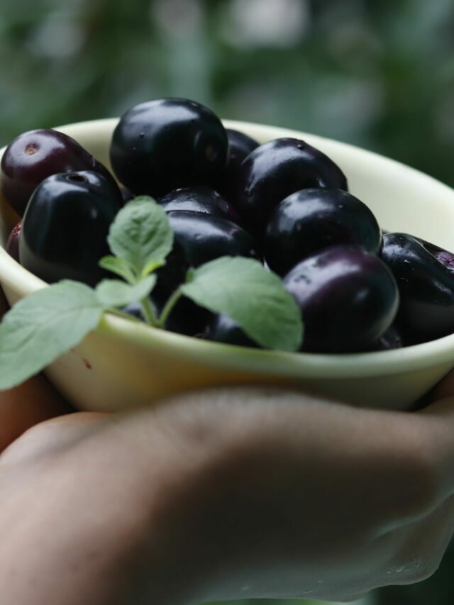 Jamun Buying Tips: बिना चखे पता लग जाएगा जामुन का स्वाद! मीठे हैं या खट्टे की पहचान अब मिनटों में!