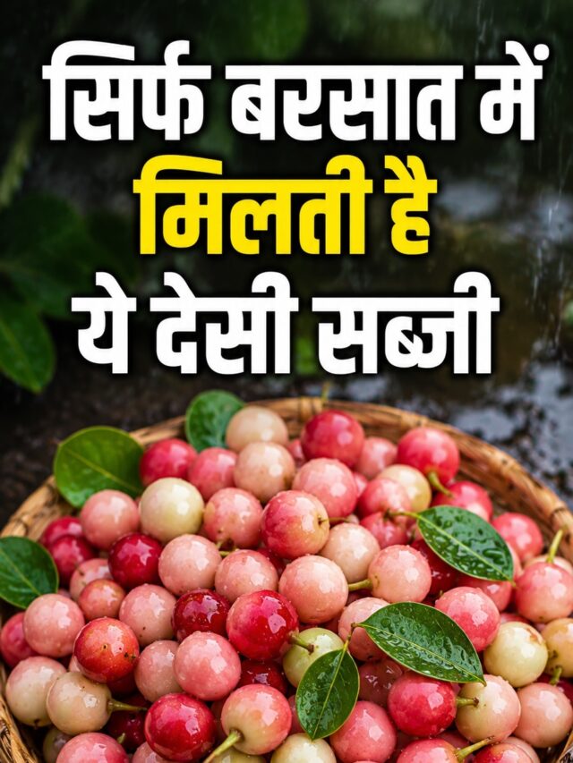 Karonda Khane Ke Fayde: साल में सिर्फ 3 महीने मिलती है ये देसी सब्जी, स्वाद ऐसा कि उंगलियां चाटते रह जाएंगे, फायदे भी कमाल