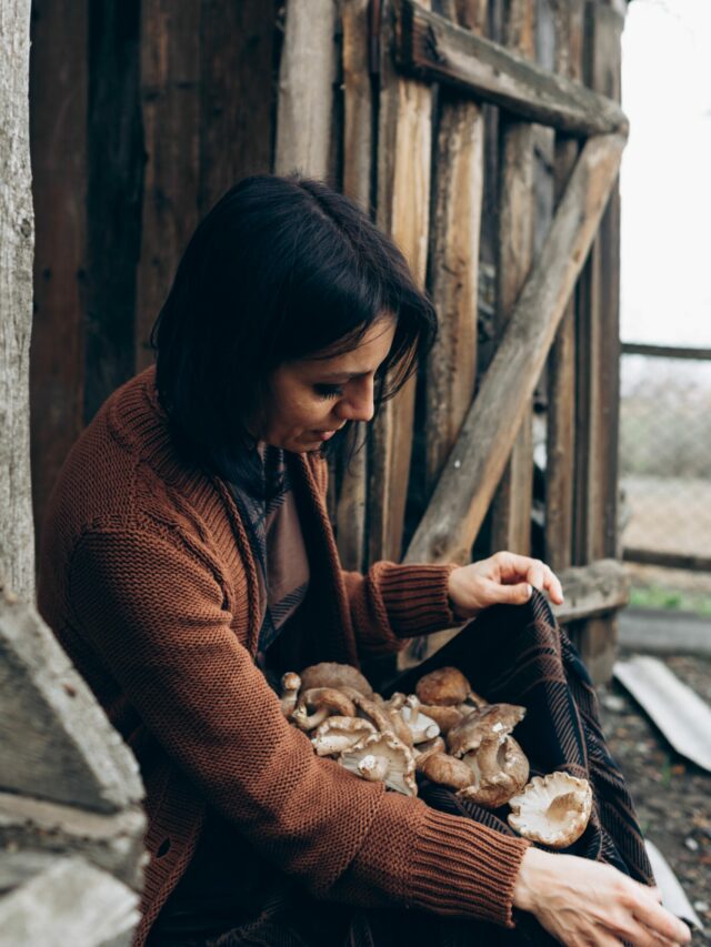 Mushroom Farming Business: मशरूम की खेती से हर महीने होगी तगड़ी कमाई? जानें कितनी लागत और कितना मुनाफा