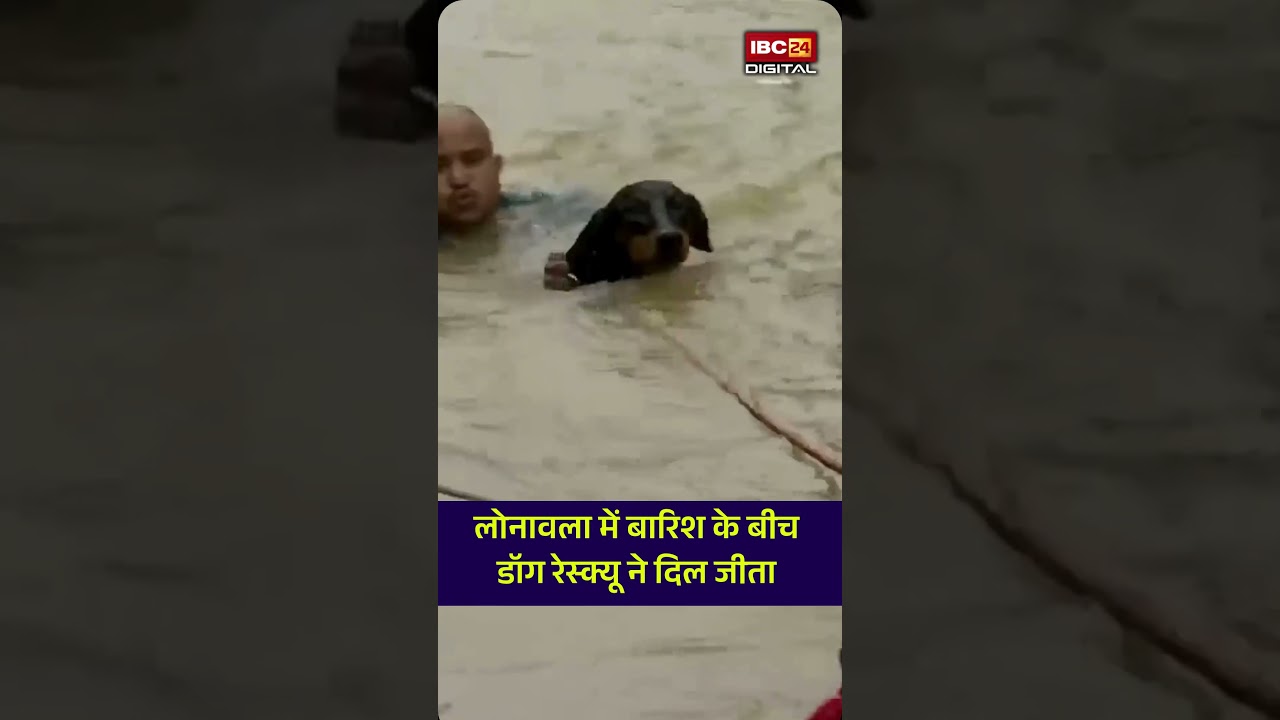 बाढ़ में फंसे मासूम डॉग का ऐसा रेस्क्यू, देखकर भावुक हो जाएंगे! Lonavla Viral video