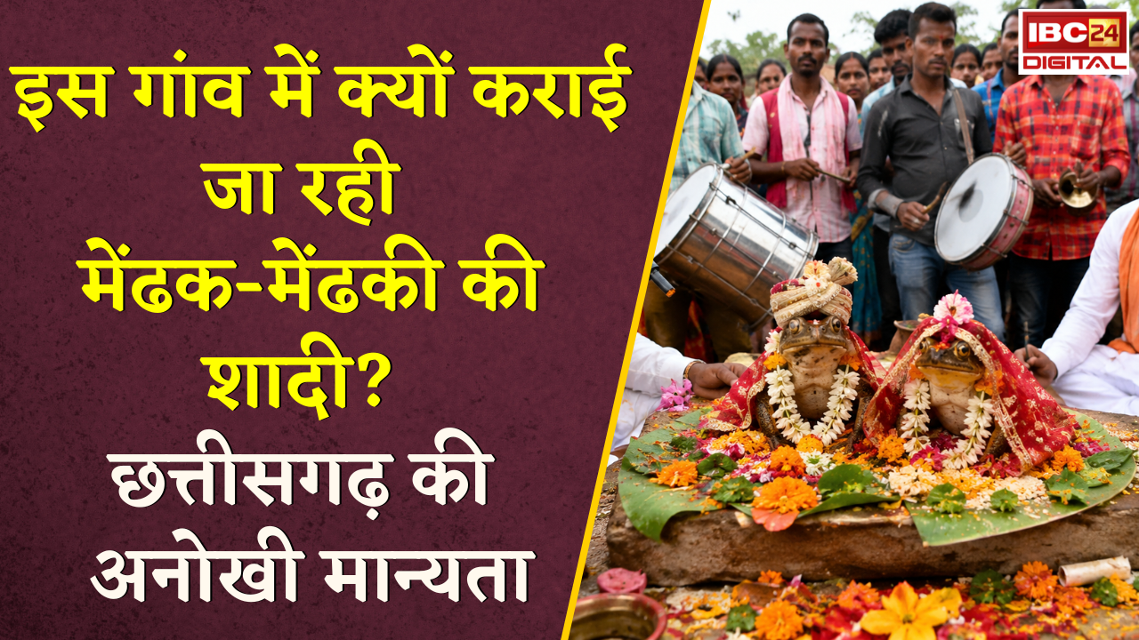 Frog Marriage CG: छत्तीसगढ़ के इस गांव में क्यों कराई जा रही मेंढक-मेंढकी की शादी? अनोखी मान्यता |