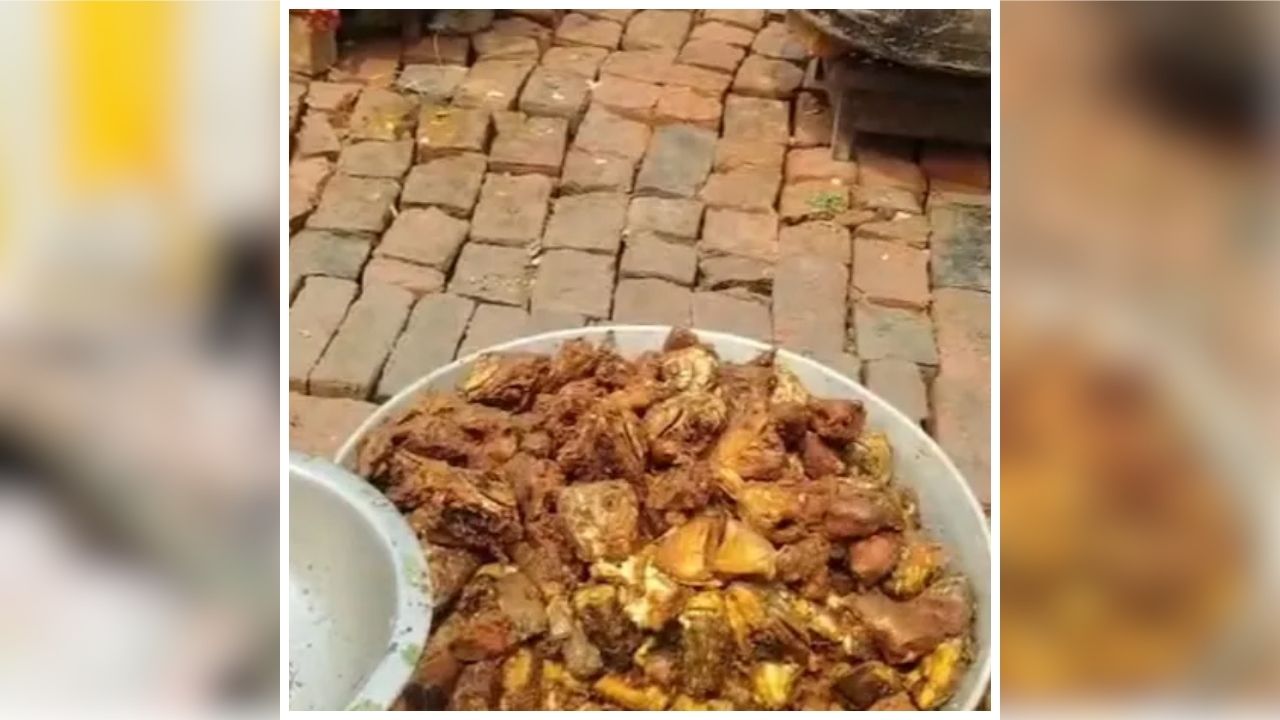 Ayodhya Fish Feast Controversy: ‘सनातन का अपमान ही कांग्रेस की पहचान’, सावन में ‘मछली भोज’ को लेकर घिरी कांग्रेस, BJP ने बताया निंदनीय, वीडियो वायरल होते ही मचा बवाल