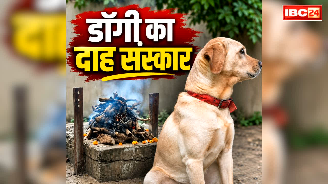 Bilaspur Dog Funeral Controversy: बिलासपुर में बवाल हो गया!.. पालतू कुत्ते की हुई मौत तो लेकर पहुंचे श्मशान, किया दाह संस्कार तो शुरू हो गया हंगामा