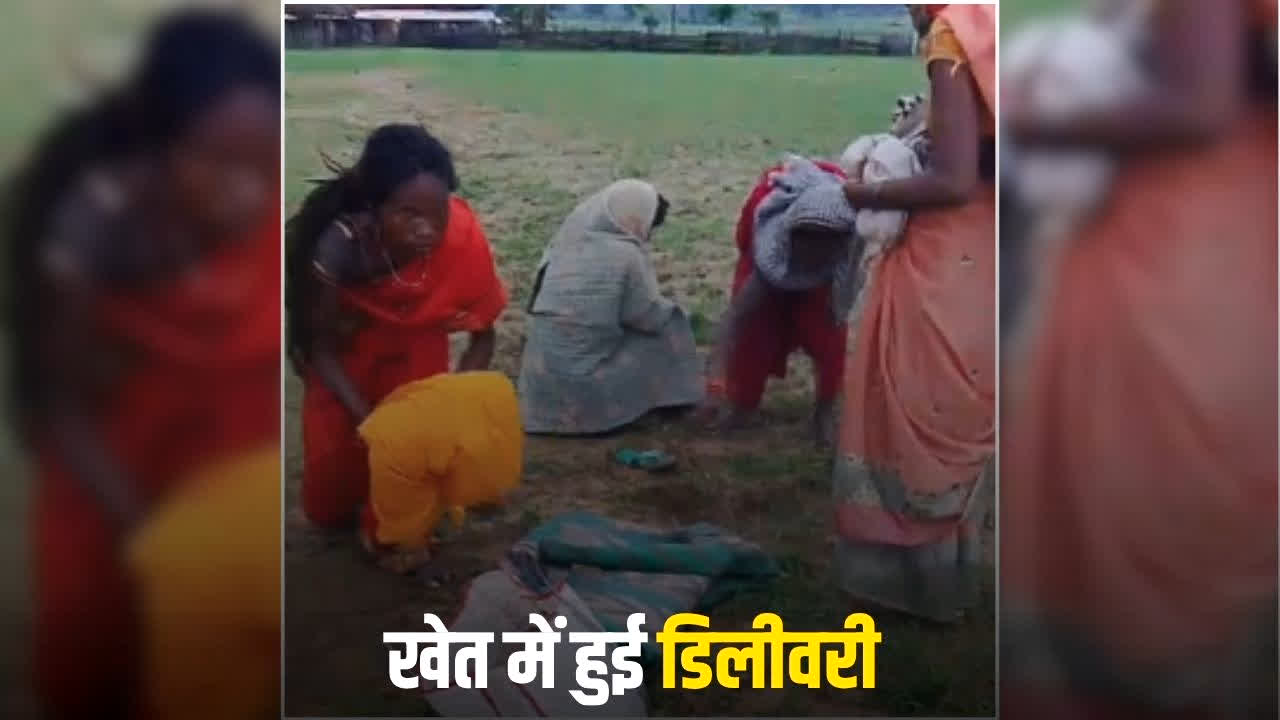 Chhattisgarh Pregnant Woman Delivery in Field: बारिश के बीच महिला ने खेत में ही दिया बच्चे को जन्म, नहीं पहुंच पाई अस्पताल, छत्तीसगढ़ के इस जिले का है मामला, Video देख दहला उठेगा दिल