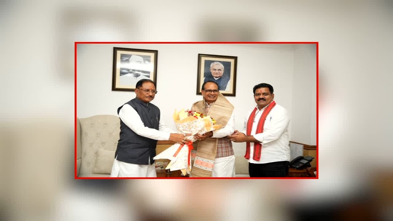 Chhattisgarh Road Development News: बस्तर में अरुणाचल मॉडल पर बनेंगी सड़कें? सीएम साय ने की केंद्र से मांग, जानें क्या मिला जवाब
