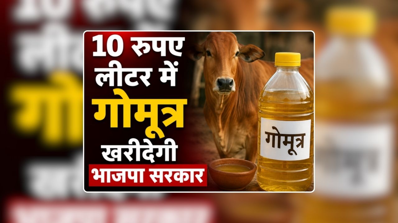 Gomutra Kharidi in UP: मिनरल वॉटर के रेट में गोमूत्र खरीदेगी भाजपा सरकार, महिला स्व सहायता समूहों को मिलेगा प्रति लीटर 2 रुपए कमिशन, पशु पालकों के लिए आई अच्छी खबर