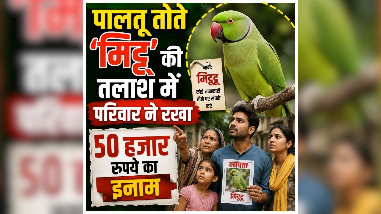 Gwalior Viral News: अचानक घर से गायब हुआ सबसे चेहता सदस्य, परिवार में पसरा सन्नाटा, तलाशी के लिए अपनाया अनोखा तरीका, रख दिया हजारों रुपए का इनाम