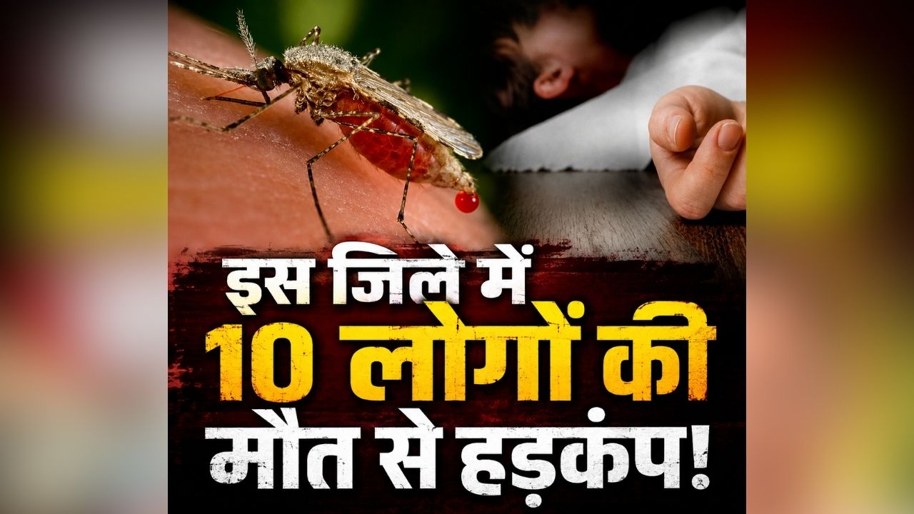 Balaghat Malaria Death: बारिश के मौसम में फैली खतरनाक बीमारी! इस जिले में अब तक 10 लोगों की मौत, ग्रामीणों में दहशत का माहौल