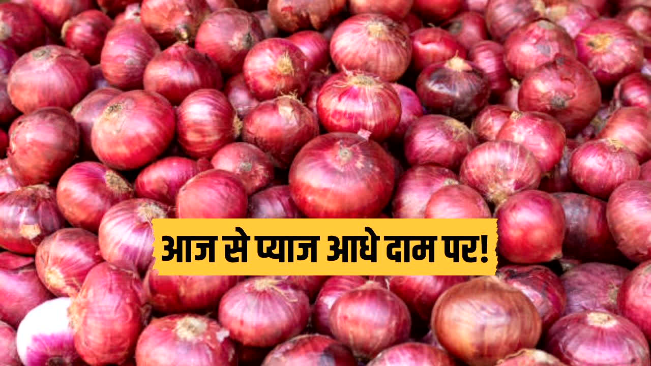 Onion Price Drop Today: आज से प्याज के दाम होंगे आधे? 70 रुपये से घटकर अब इतना हुआ रेट, जानिए ‘कांदा एक्सप्रेस’ से ग्राहकों को कैसे मिलेगा फायदा?
