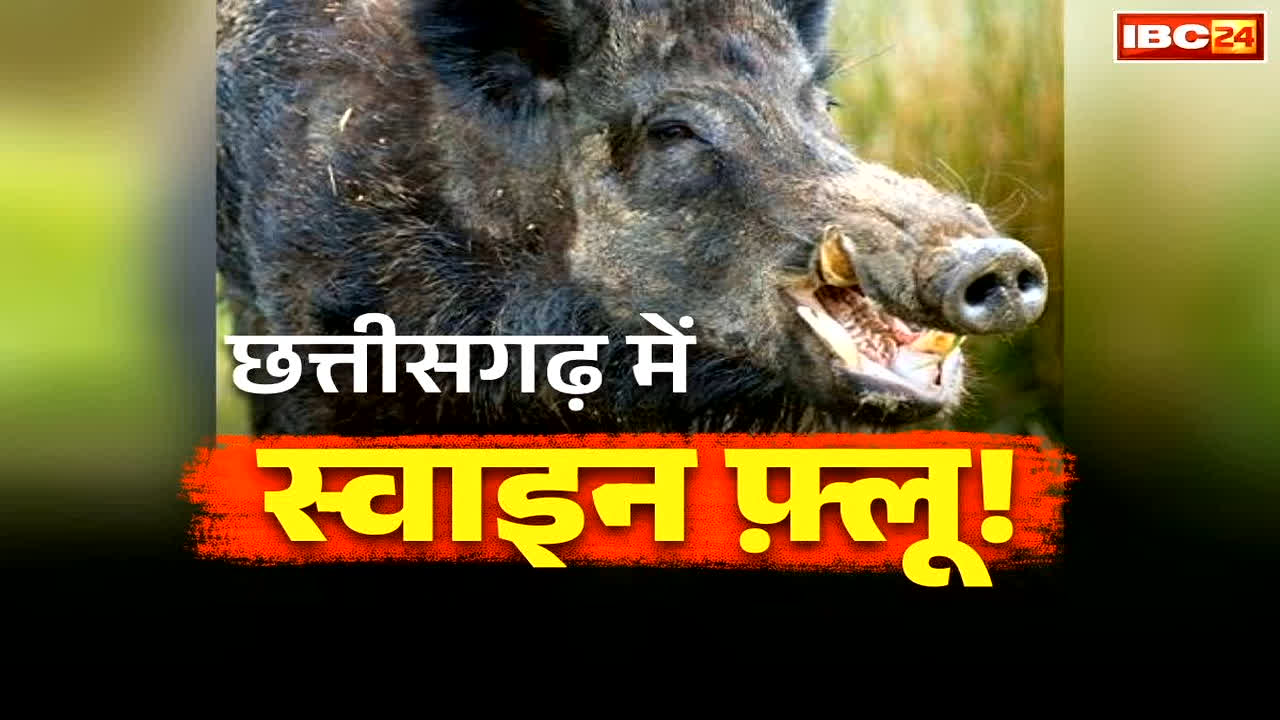 Swine Flu in Durg: प्रदेश के इस जिले में सामने आया स्वाइन फ्लू का मामला, स्वास्थ्य विभाग में मचा हड़कंप, जनता से की ये अपील