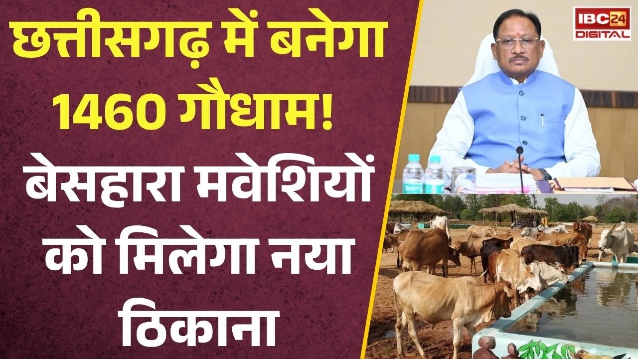 CG Gaudham Yojana: छत्तीसगढ़ में बनेगा 1460 गौधाम! अब बेसहारा मवेशियों को मिलेगा नया ठिकाना |