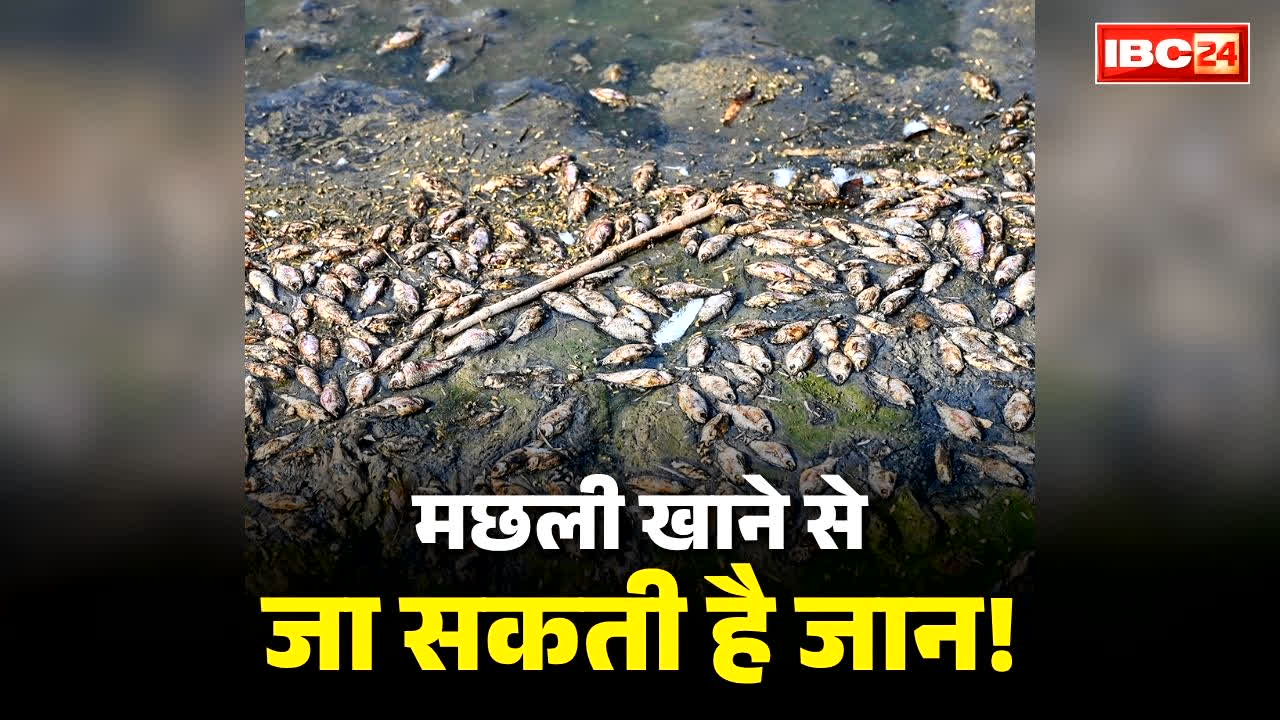 Bihar Fish Consumption Ban: भाजपा सरकार ने लगाई मछलियों की खरीद और खाने पर रोक!.. कई पहुँच चुके है अस्पताल, जानें क्यों हुई जहरीली