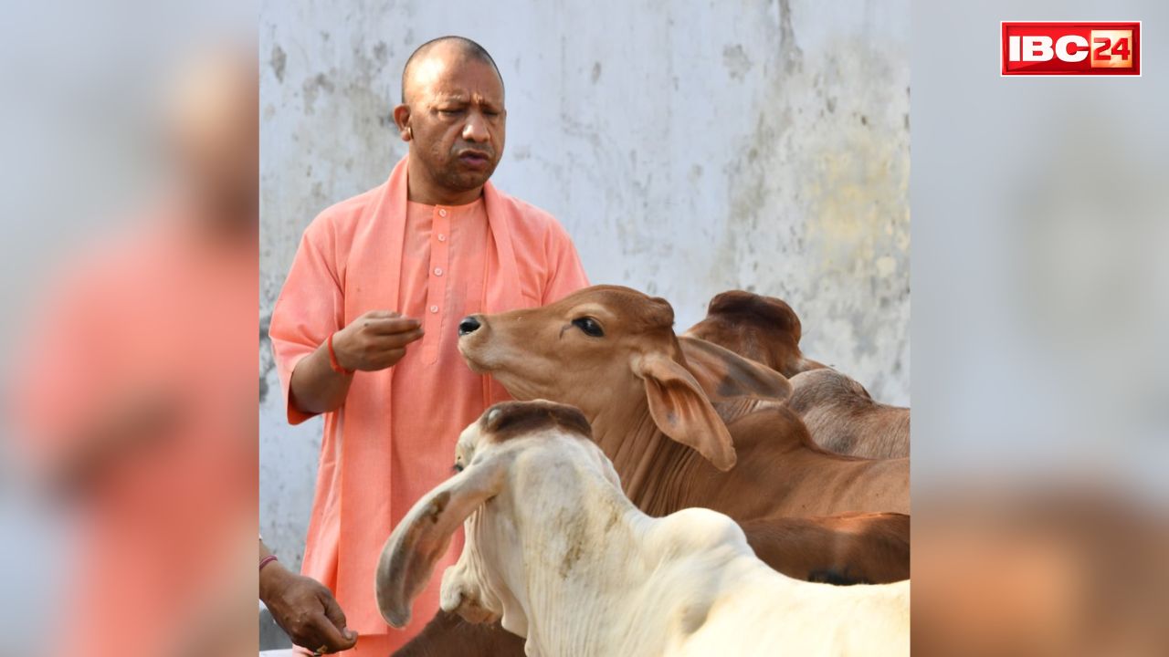 CM Yogi Adityanath Vision: गोशालाओं को अब संरक्षण के साथ बनाया जाएगा आत्मनिर्भरता का मॉडल.. बैठक में 25 सूत्रीय एजेंडे पर विस्तार से विचार-विमर्श किया गया