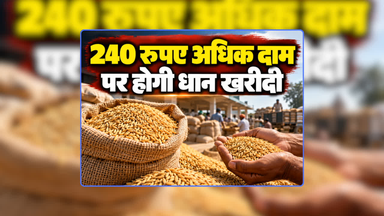 Paddy Price Hike 2026-27 News Update: इस बार 240 रुपए अधिक दाम पर धान खरीदी करेगी भाजपा सरकार, दिवाली से पहले किसानों के लिए खोला सौगातों का पिटारा, जानिए क्या होगा प्रति क्विंटल रेट