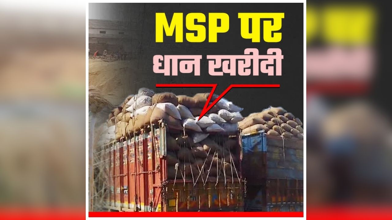 Dhan MSP Rate 2026: किसानों को बड़ा तोहफा, MSP पर होगी धान की खरीदेगी, दिन में इतने घंटे मिलेगी बिजली, मुख्यमंत्री ने खुद किया ऐलान