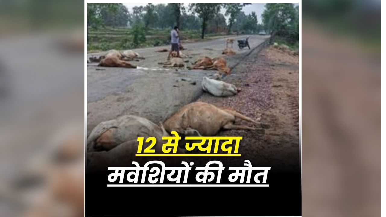 Kanker Road Accident: छत्तीसगढ़ के इस जिले में दर्दनाक हादसा, देखते ही देखते मच गई अफरा-तफरी, 12 से ज्यादा मौतों से मचा हड़कंप