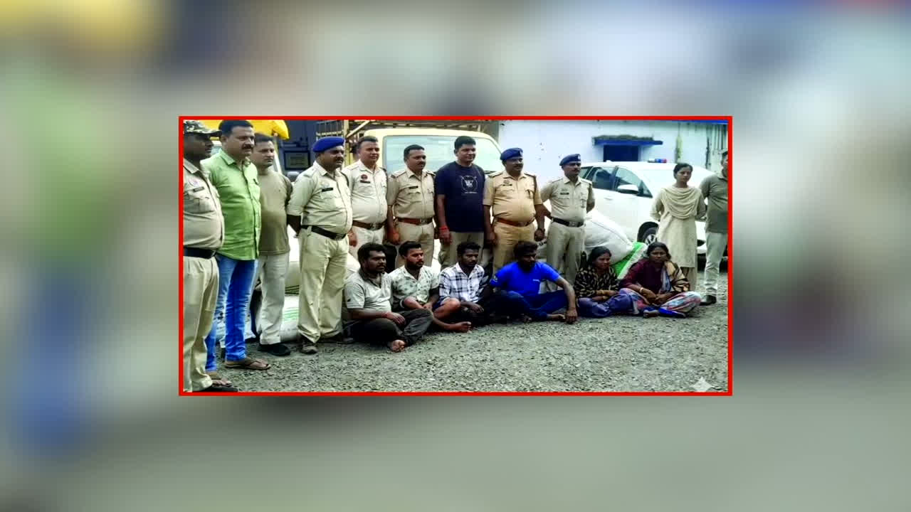 Katni Crime News: करोड़ों के गांजे की खेप, छत्तीसगढ़ में गिरफ्तारी के बाद निकला कटनी कनेक्शन, पुलिस कर रही जांच