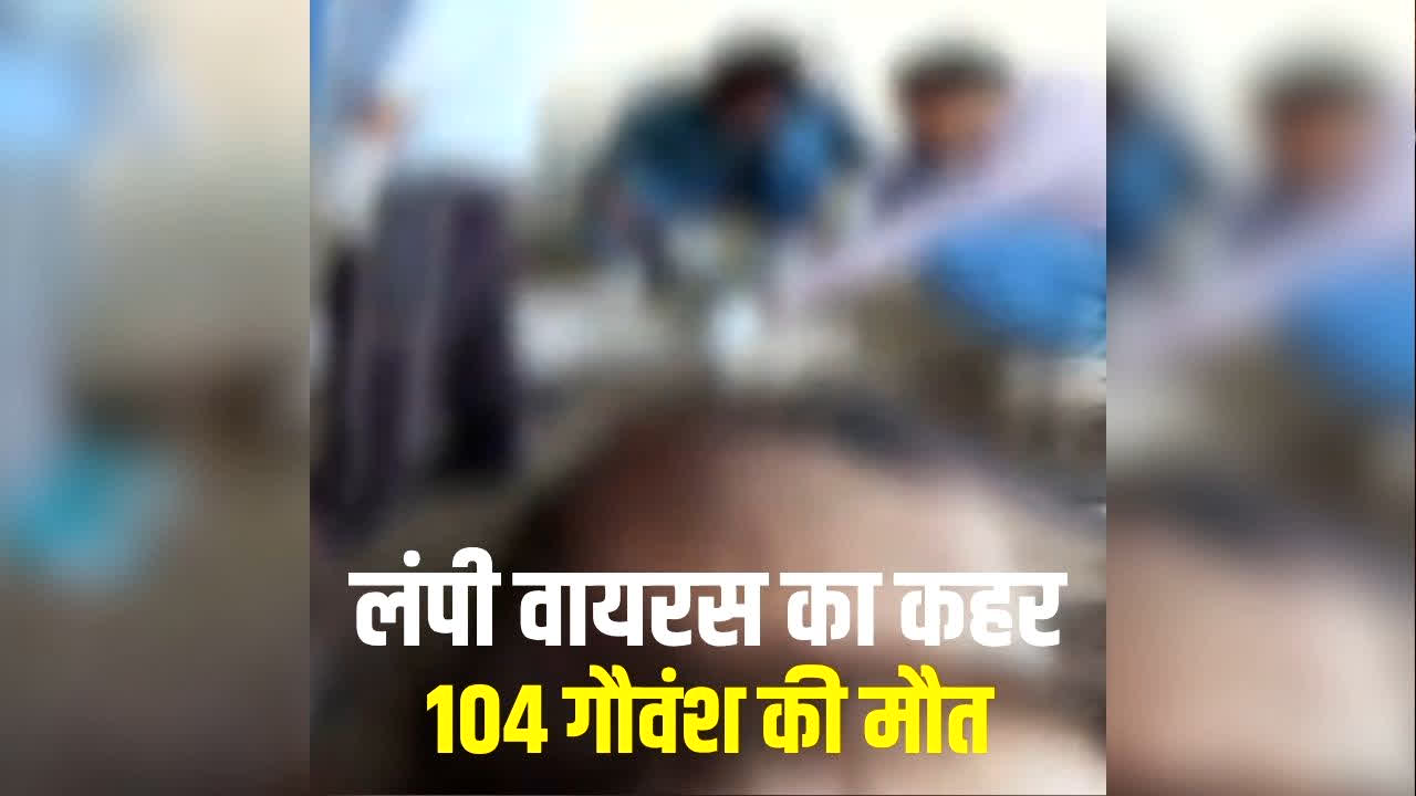 Madhya Pradesh Lumpy Virus Case: मध्यप्रदेश में लंपी वायरस का कहर, आइसोलेशन सेंटर में मौतों का आंकड़ा बढ़ा, 100 से ज्यादा गौवंशों की मौत