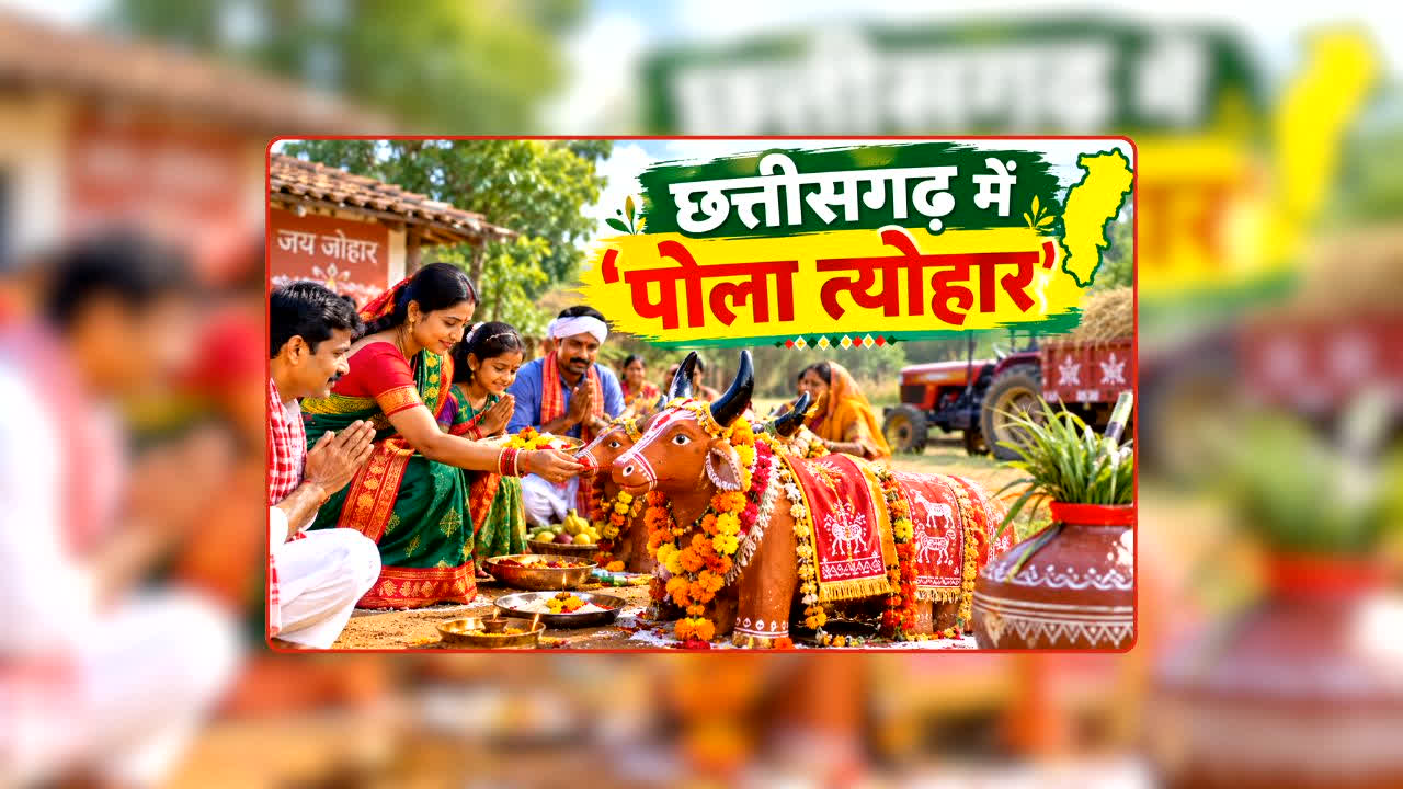 Pola Festival 2026: पोला त्योहार पर क्यों होती है बैलों की पूजा? छत्तीसगढ़ की इस अनोखी परंपरा के पीछे छिपी है ये बड़ी वजह