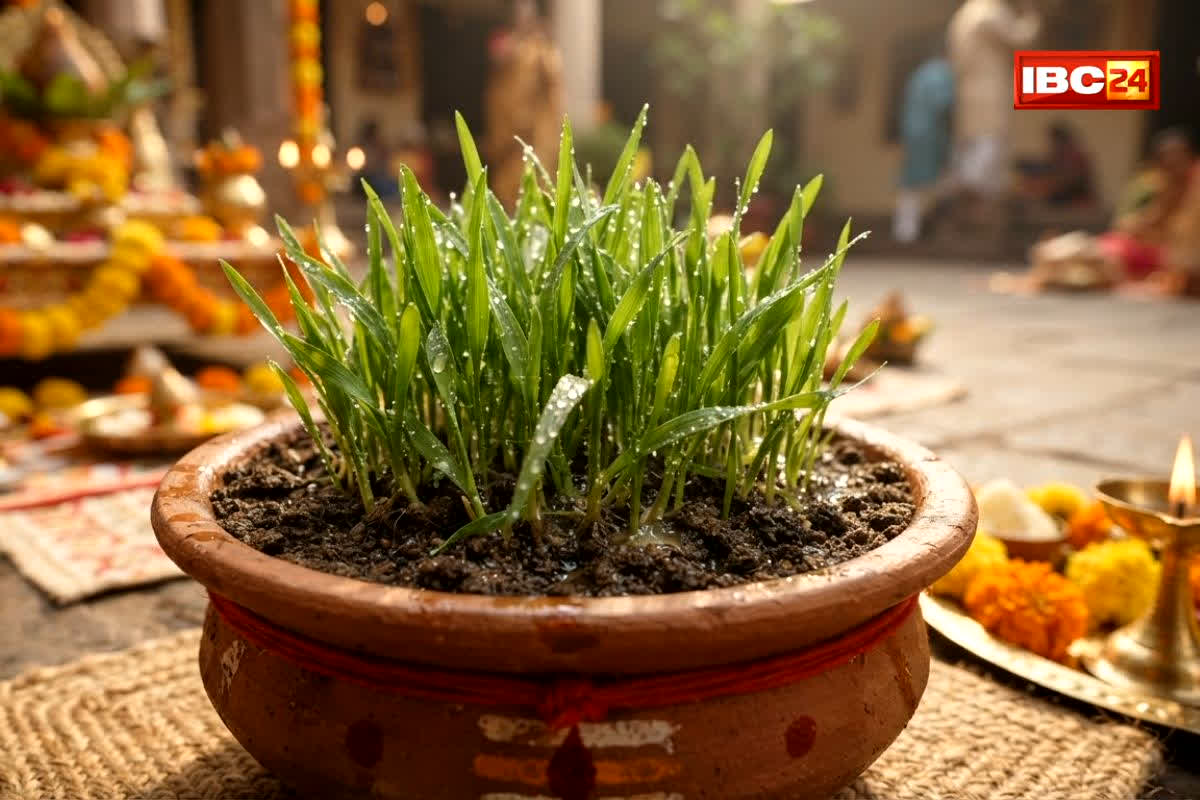 Shardiya Navratri 2026: कब से शुरू हो रही है शारदीय नवरात्रि? जानिए कैसे नौ दिनों में उगने वाले ‘जौ’ खोलते हैं आपके आने वाले समय का राज़!