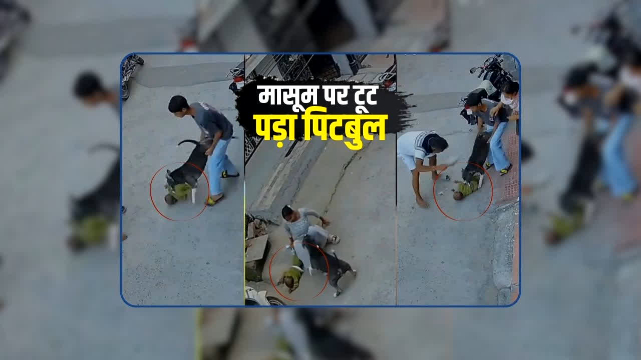 Sonipat Pitbull Attack Video: 6 महीने के मासूम पर टूट पड़ा पिटबुल, जबड़ों में दबाकर नोंचता रहा, वीडियो देख दहल उठेगा दिल