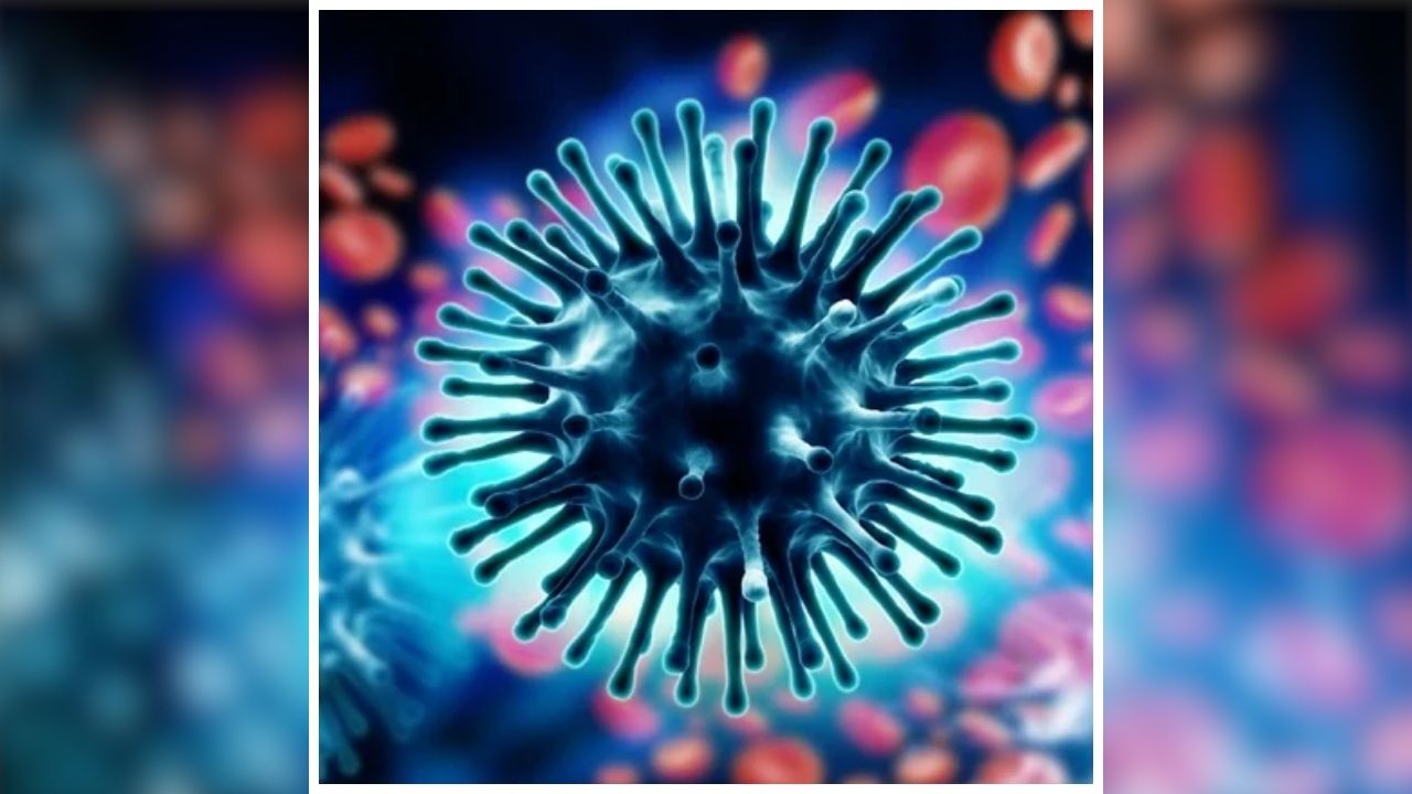 Swine Flu in Chhindwara: इस जिले में खतरनाक बीमारी की एंट्री, एक ही दिन में सामने आए इतने मरीज, स्वास्थ्य विभाग में मचा हड़कंप