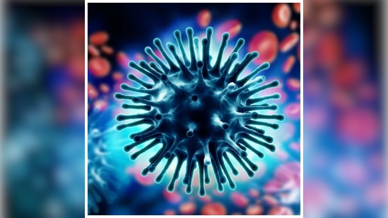 Swine Flu Case Durg: फिर बढ़ा स्वाइन फ़्लू का खतरा, पिछले 24 घंटे में मिले इतने मरीज, स्वास्थ्य विभाग में मचा हड़कंप