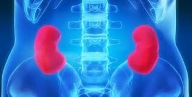 ये जरूरी बातें ध्यान में रखने से स्वस्थ रहेगी आपकी किडनी…