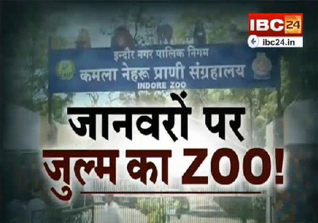 ‘इंदौर चिड़ियाघर में जानवरों के हक का भोजन घर ले जाते हैं कर्मचारी’