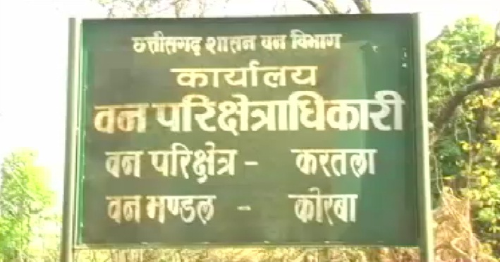 भालु के हमले से तीन लोग घायल