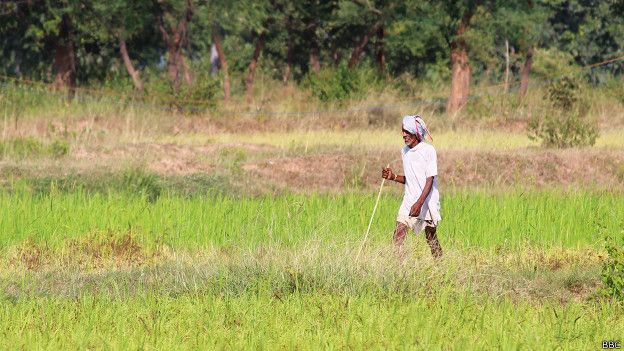 किसानों को बिना ब्याज करीब 28 सौ करोड़ रूपए का लोन देगी सरकार
