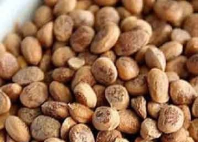 सेहत और सौंदर्य के लिए फायदेमंद है चिरौंजी