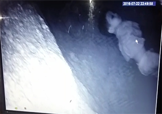 खेलने के दौरान बोर के लिए बने गड्ढ़े में गिरा 3 साल का बच्चा