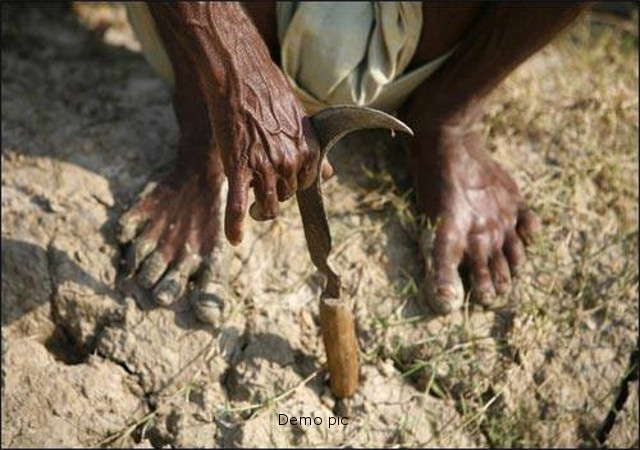 कोरबा जिले में बने सूखे जैसे हालात