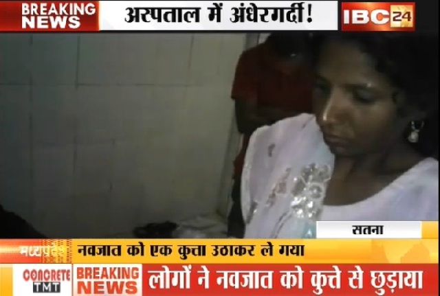 सतना: जिला अस्पताल की बड़ी लापरवाही, प्रसूता वार्ड से नवजात बच्चे को उठा ले गया कुत्ता