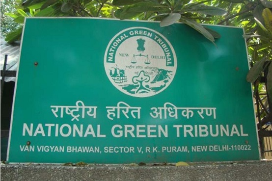अमरकंटक में वनों के विकास के लिए ‘मप्र-छग’ मिलकर साडा बनाएं: NGT