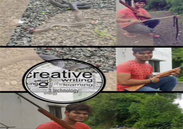 उज्जैनः सांप को मारकर सोशल साइट पर किया था फोटो शेयर, भेजा गया जेल