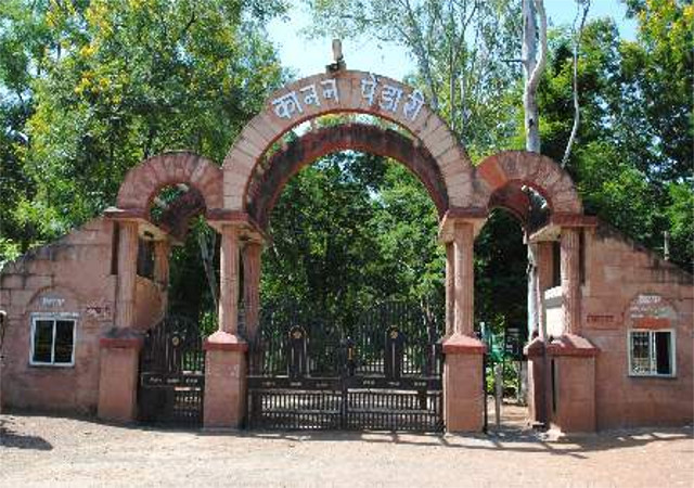 बर्ड फ्लू को लेकर बिलासपुर जू में भी बरती जा रही सावधानी